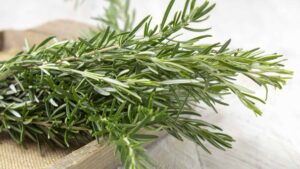 Boiling Rosemary