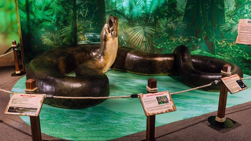Meet Titanoboa