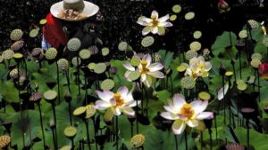 LA Lotus Festival